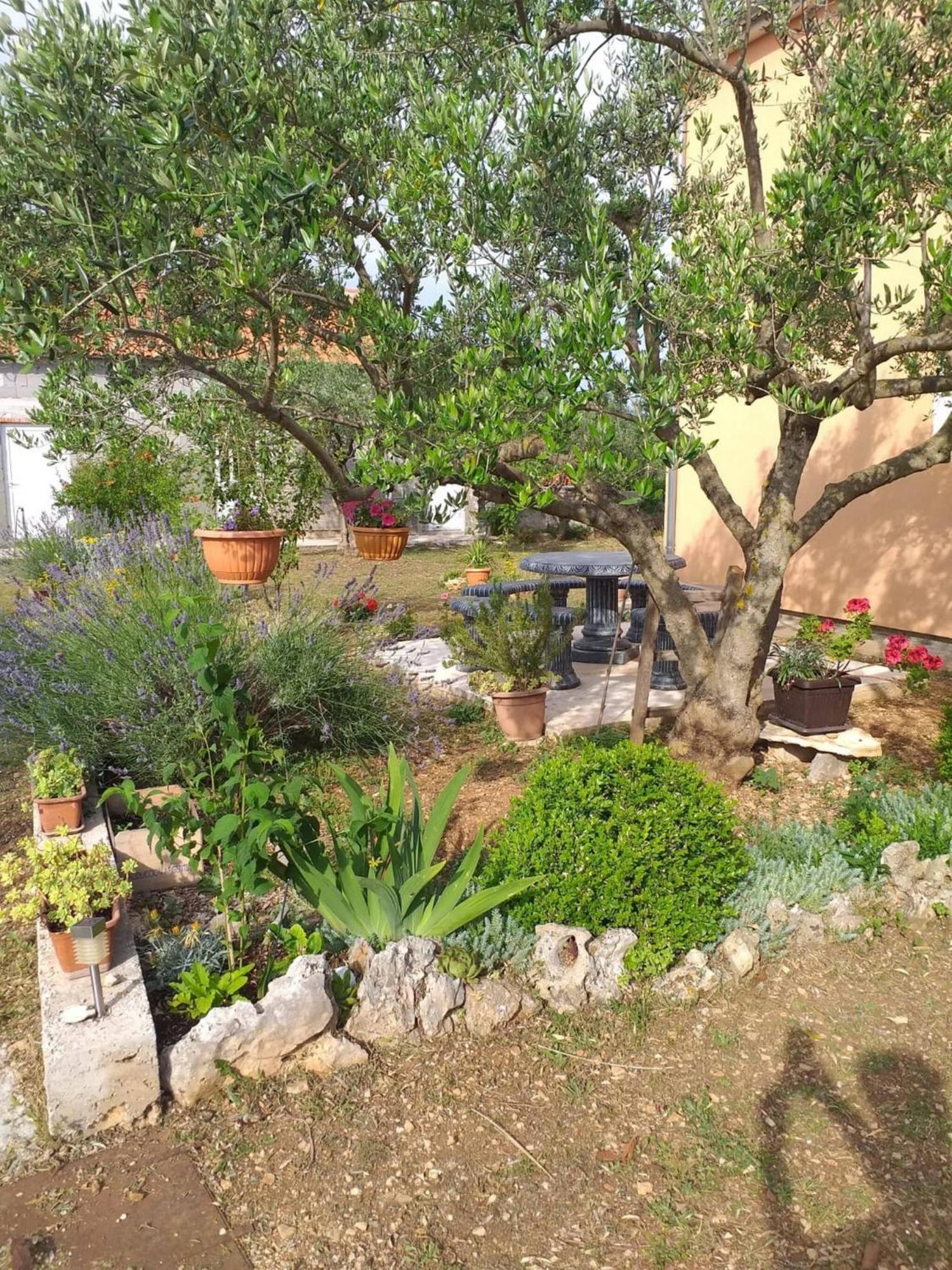 Rural Apartment Ante Дрниш Экстерьер фото